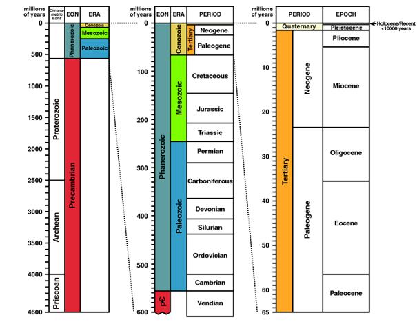  Geological Time Scale